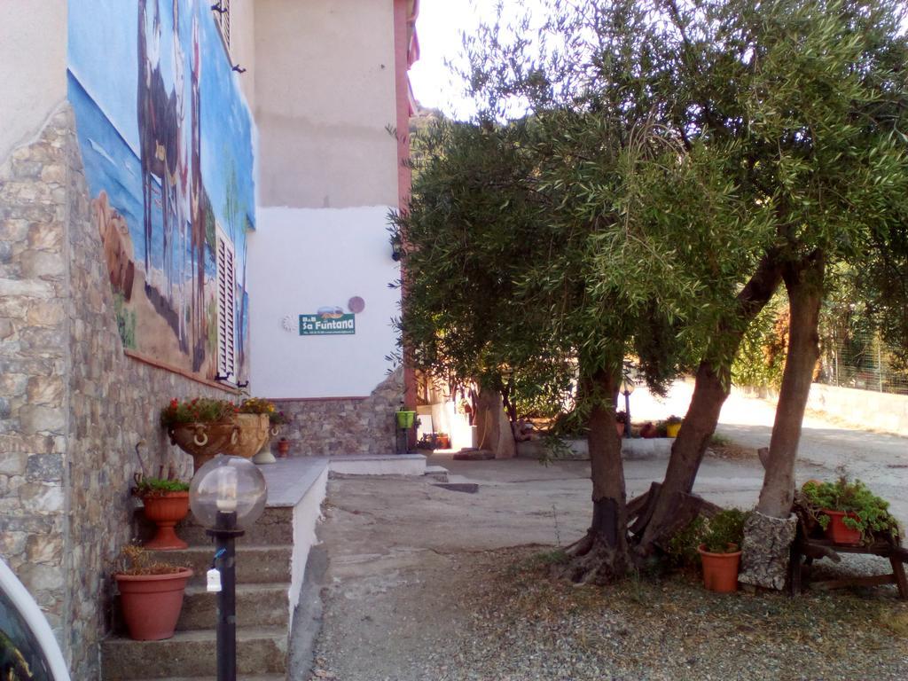 קרדדו B&B Sa Funtana מראה חיצוני תמונה